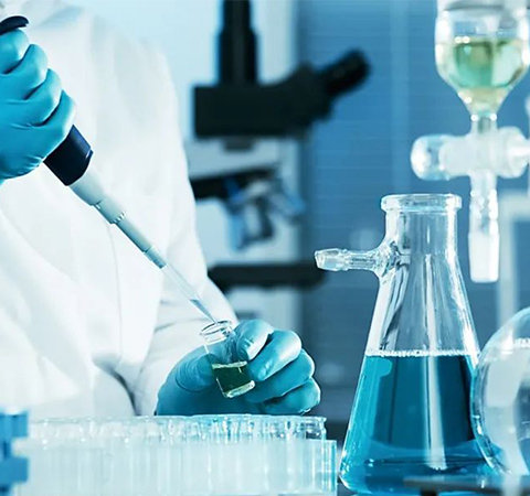 如何證明反轉(zhuǎn)錄第一鏈cDNA成功了？