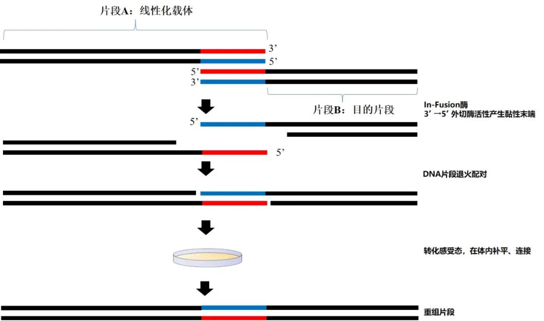 210711.jpg 210711.jpg