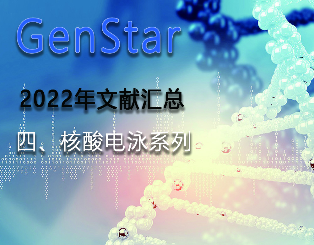 GenStar 2022年文獻(xiàn)匯總（四、核酸電泳系列）